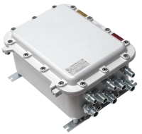 TFortis PSW Ex